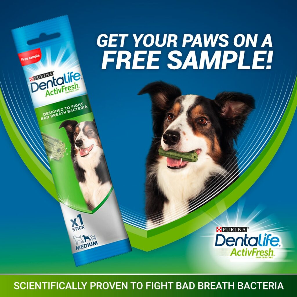 Dentalife-min